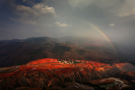 Việt Nam Xanh - Những ảnh đẹp từ cuộc thi National Geographic (Hình 14).