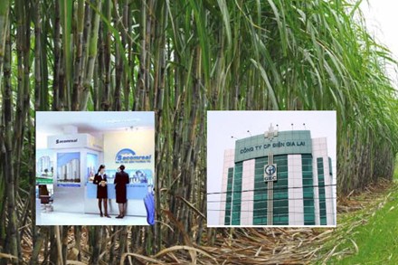 Bất động sản - Gia đình ông Đặng Văn Thành kiếm được bao nhiêu tiền một năm?
