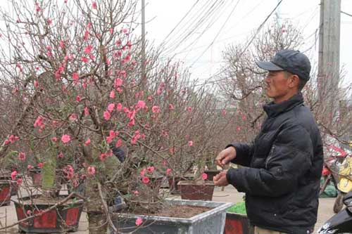 Tài chính - Ngân hàng -  Đào Nhật Tân dáng cổ 'lên ngôi' năm Giáp Ngọ 2014 (Hình 10).