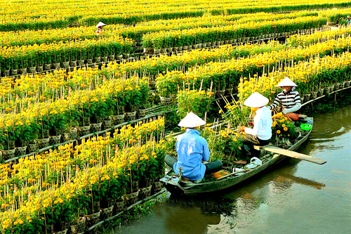 Lạ & Cười - Làng hoa trăm tuổi ở Sa Đéc