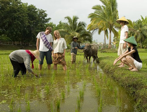 Lạ & Cười - Kinh nghiệm vàng cho chuyến du lịch homestay (Hình 2).