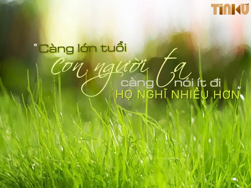 Tin cũ - Nhà văn Nguyễn Nhật Ánh: Những nỗi buồn mỏng manh