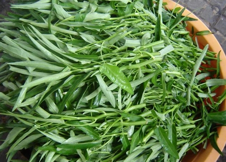 C&aacute;c bệnh - 7 người tuyệt đối kh&ocirc;ng được ăn RAU MUỐNG x&agrave;o hoặc luộc