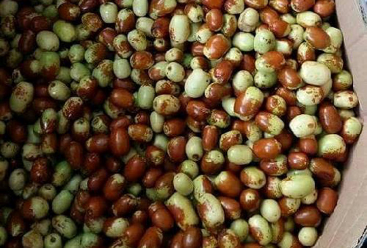 C&aacute;c bệnh - Thực hư 'thần dược' hồng t&aacute;o TQ b&aacute;n đầy c&aacute;c chợ c&oacute; thể chữa ung thư? (H&igrave;nh 2).