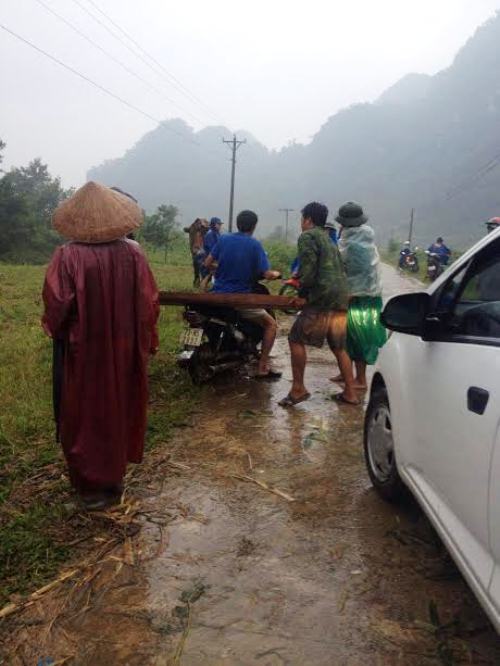 Hồ sơ điều tra - Khởi tố đám đông cướp gỗ từ kiểm lâm cơ động (Hình 2).