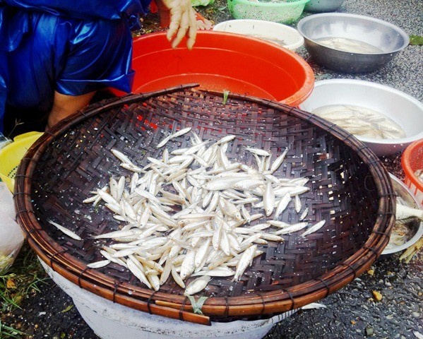 Dân sinh - Lũ về, ngư dân trắng đêm buông lưới mưu sinh mặc mưa trút trên đầu (Hình 9).