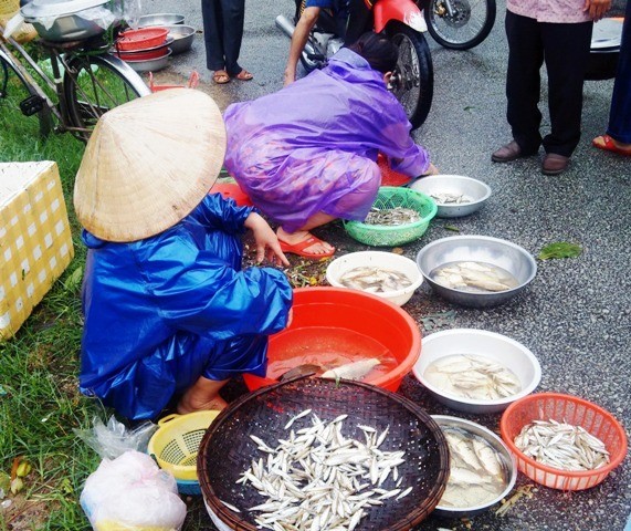 Dân sinh - Lũ về, ngư dân trắng đêm buông lưới mưu sinh mặc mưa trút trên đầu (Hình 2).