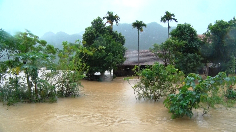 Xã hội - Quảng Bình: Hàng ngàn nhà cửa và phương tiện chìm trong biển nước (Hình 2).