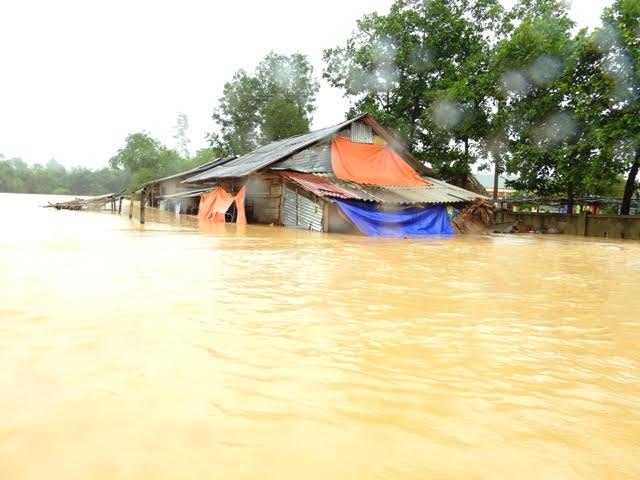 Xã hội - Xả lũ ‘đúng quy trình’, nhà cửa và ruộng đồng bị chìm sâu trong nước (Hình 2).