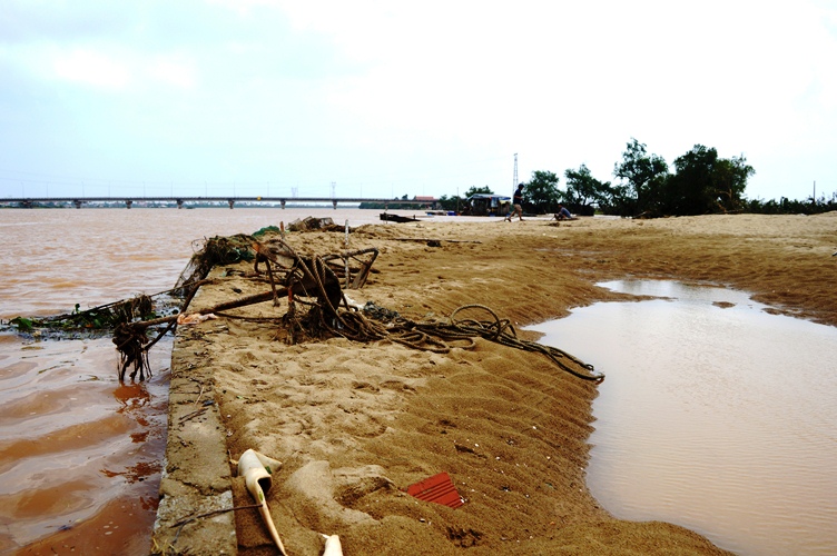 Xã hội - Ảnh: Cá ‘sốc’ nước lũ chết trắng bè, dân gạt nước mắt vứt tiền tỷ (Hình 8).