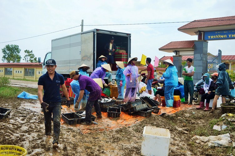 Xã hội - Ảnh: Cá ‘sốc’ nước lũ chết trắng bè, dân gạt nước mắt vứt tiền tỷ (Hình 2).