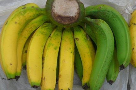 Các bệnh - Vì sao không ăn chuối để tủ lạnh và ăn quá 2 quả/ngày?