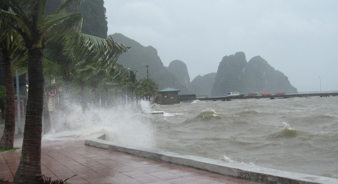 Tin nhanh - Hàng không hoãn 14 chuyến bay trong ngày vì bão số 7