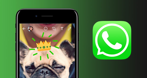 Thủ thuật - Tiện ích - WhatsApp thêm tính năng vẽ lên ảnh và video cho iOS