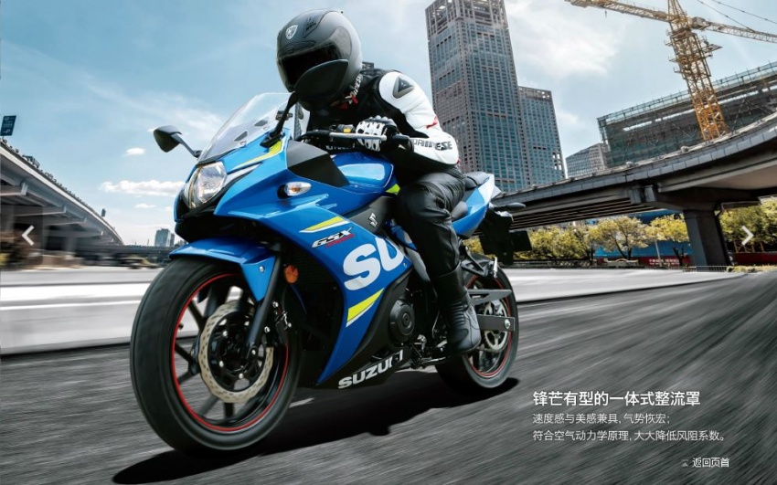 Xe máy - Suzuki GSX-R250 2017 - Chú tân binh đáng gờm