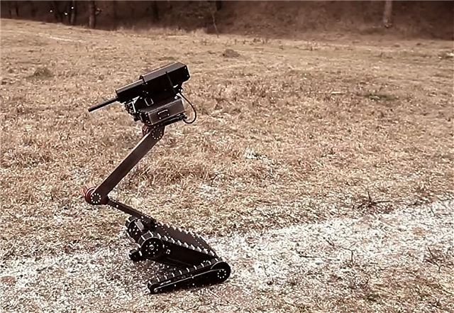 Quân sự - Minirex - Robot bắn tỉa Nga có thể bỏ vừa trong túi xách [VIDEO] (Hình 2).