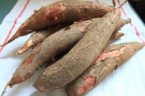 Dinh dưỡng - Những lưu ý bạn cần phải biết khi ăn sắn để tránh ngộ độc