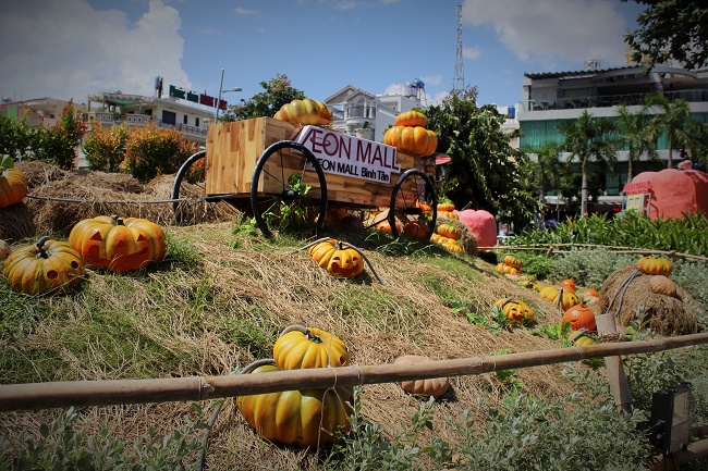 Đời sống - Phố Sài Gòn mới lạ bên những quả bí khổng lồ chào Halloween (Hình 2).