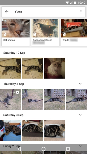 Công nghệ - Google Photos hiển thị album ảnh trong kết quả tìm kiếm