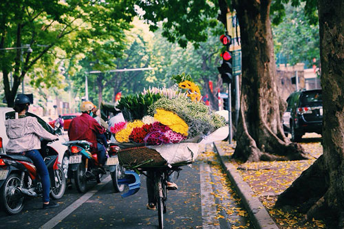 Dân sinh - Chìm đắm trong vị ngọt của mùa đẹp nhất năm (Hình 6).