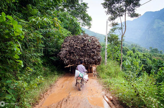 Dân sinh - Đau lòng nhìn trẻ vùng cao hàng ngày đu dây lội suối đi học  (Hình 2).