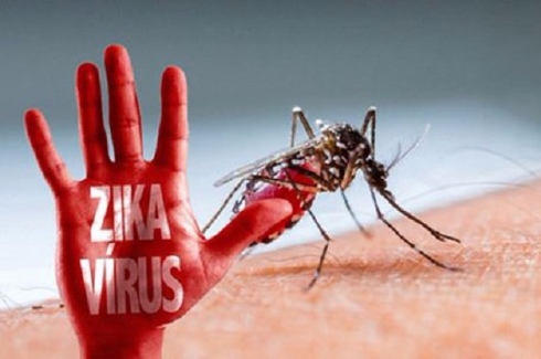 Các bệnh - Bộ Y tế ghi nhận 2 trường hợp mới nhiễm virus Zika