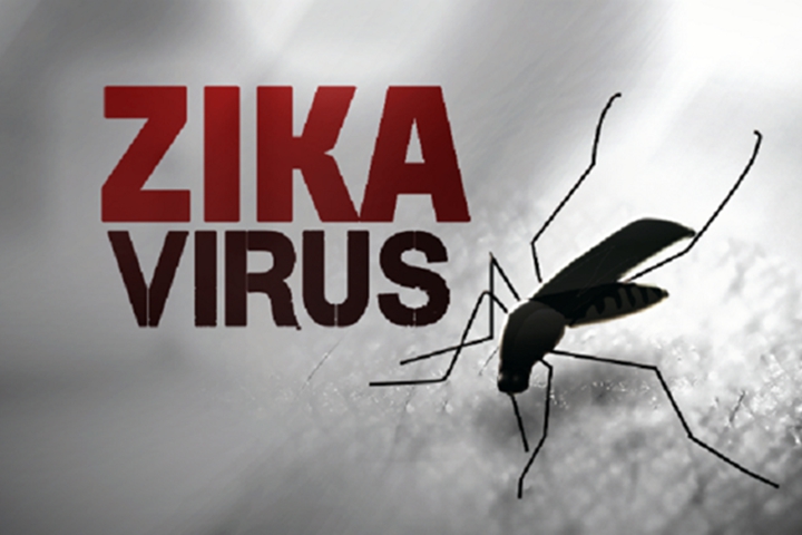 Các bệnh - Bộ Y tế ghi nhận 2 trường hợp mới nhiễm virus Zika (Hình 2).