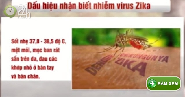 Các bệnh - Bộ Y tế yêu cầu tăng cường giám sát phụ nữ mang thai phòng ngừa Zika (Hình 2).