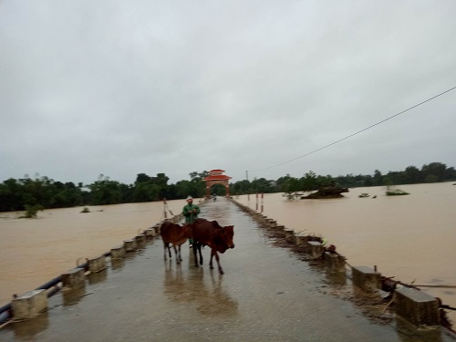 Xã hội - Nhà dân bị ngập sâu, học sinh phải nghỉ học do mưa lũ (Hình 5).