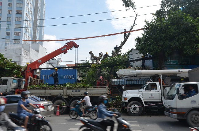 Xã hội -  Cận cảnh cây Đa trăm tuổi bật gốc đổ vào nhà dân (Hình 4).