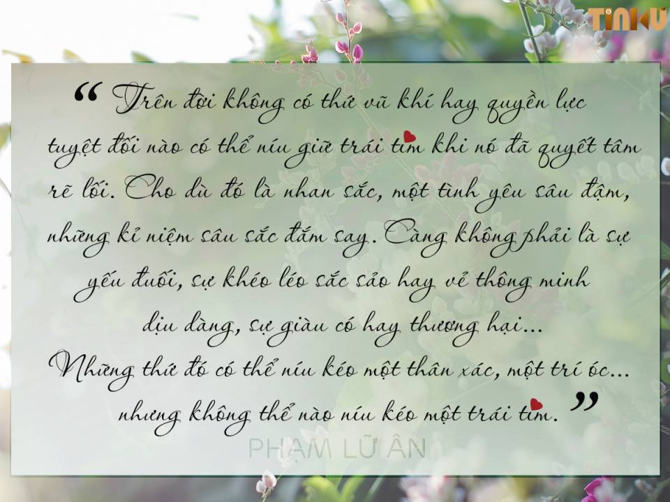 Tin cũ - Phạm Lữ Ân: 'Nếu biết trăm năm là hữu hạn...' (Hình 4).