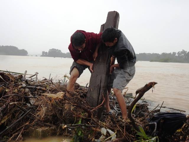 Xã hội - Bất chấp nguy hiểm, dân liều mình lao vào nước lũ vớt... củi (Hình 4).