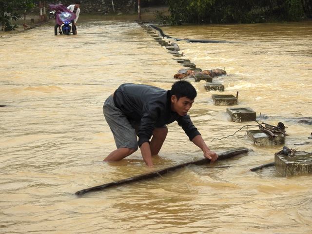 Xã hội - Bất chấp nguy hiểm, dân liều mình lao vào nước lũ vớt... củi (Hình 2).