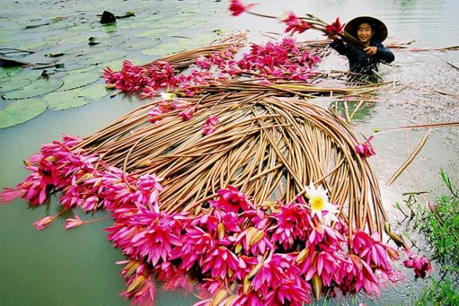 Gia đình - Cuộc thi viết: ‘Nắm tay nhau đi khắp thế gian – Du lịch cùng tôi' (Hình 5).