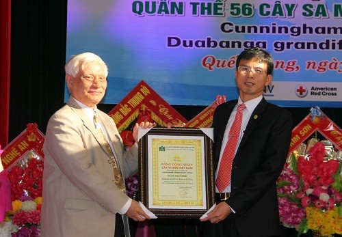 Tin nhanh -  Rừng sa mu dầu ‘khổng lồ’ được công nhận cây di sản Việt Nam