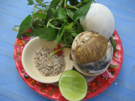 Dinh dưỡng - Vì sao chỉ nên ăn TRỨNG VỊT LỘN vào buổi sáng, không ăn buổi tối? (Hình 2).