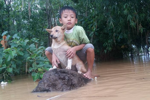 Dậy sóng mạng - Cậu bé ôm chú chó giữa dòng lũ dữ Quảng Bình gây ám ảnh nhất tuần (Hình 3).