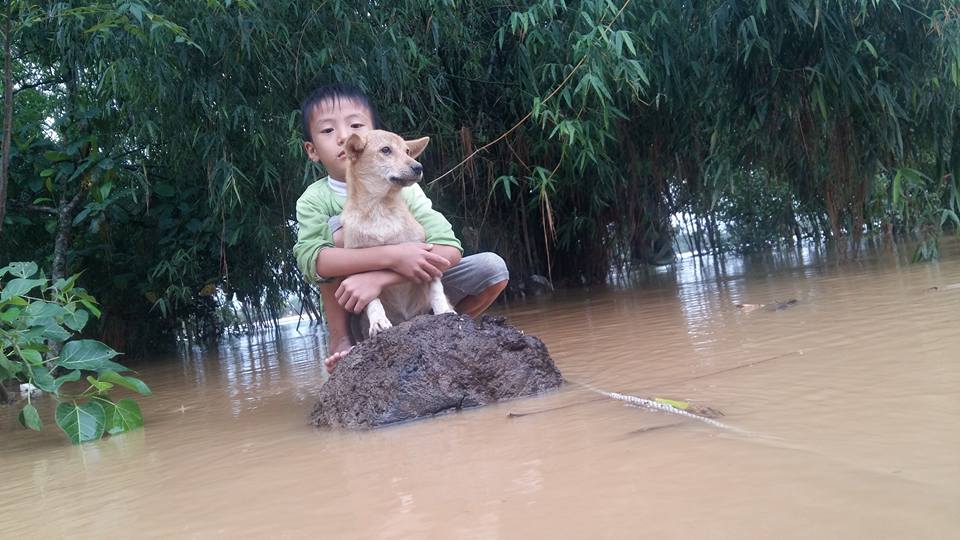 Dậy sóng mạng - Cậu bé ôm chú chó giữa dòng lũ dữ Quảng Bình gây ám ảnh nhất tuần (Hình 2).