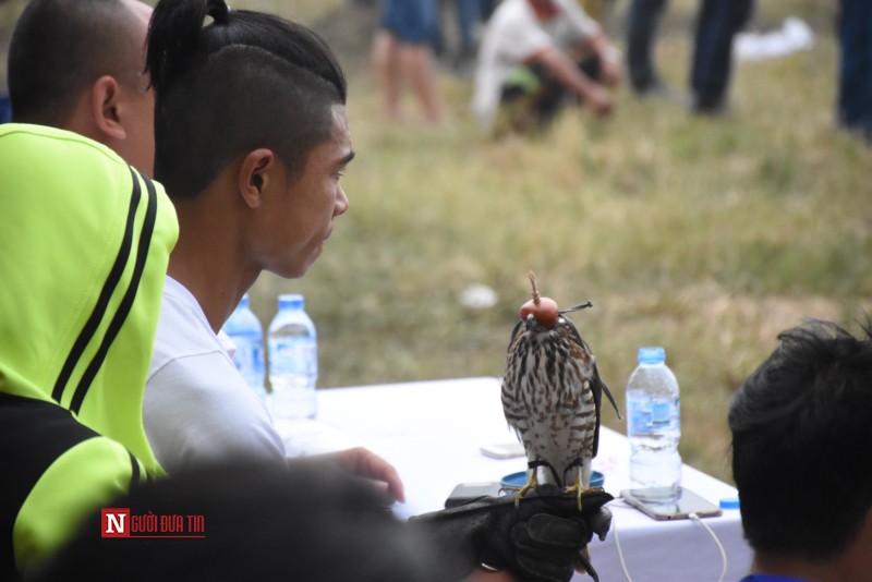 Xã hội - Vì sao 'sát thủ bầu trời' này lại có giá tới 200 triệu? (Hình 5).