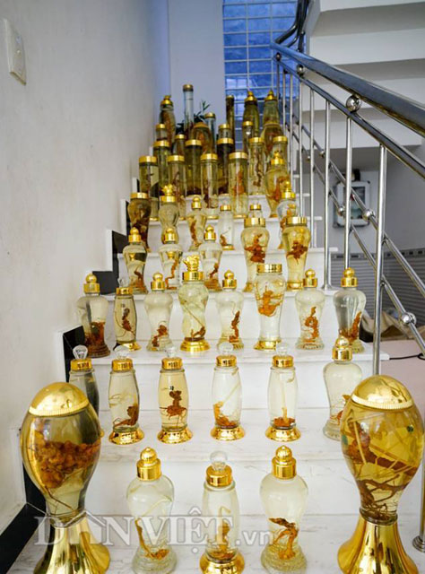 Đầu tư - Gần cả xã miền núi Trà My là tỷ phú, có nông dân 'ôm' gia tài 250 tỷ (Hình 4).