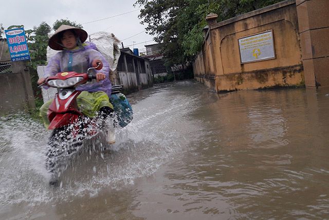 Xã hội - Nghệ An: Mưa lớn, học sinh nghỉ học, dân mang vợt ra bắt cá (Hình 2).