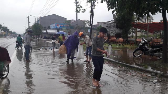 Xã hội - Nghệ An: Mưa lớn, học sinh nghỉ học, dân mang vợt ra bắt cá (Hình 3).