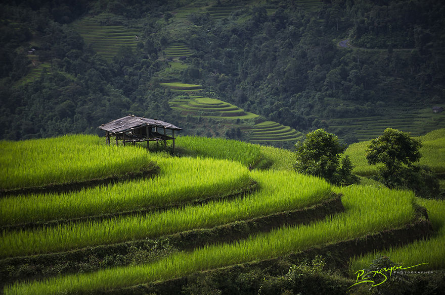 Tin cũ - Việt Nam đẹp mê hoặc trong bộ ảnh của Nguyễn Vũ Phước (Hình 10).