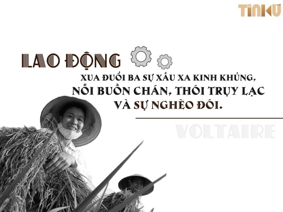 Tin cũ - Đại văn hào Voltaire: Những tư tưởng lớn thường gặp nhau (Hình 4).