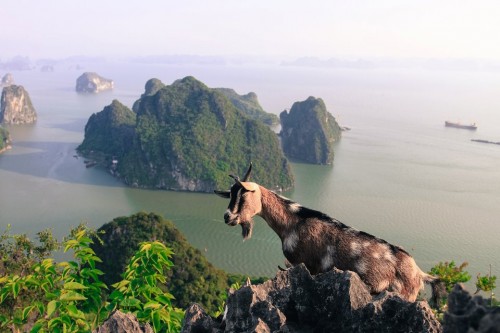 Tin cũ - N&uacute;i B&agrave;i Thơ: Nh&igrave;n vạn biến ở đỉnh bất biến