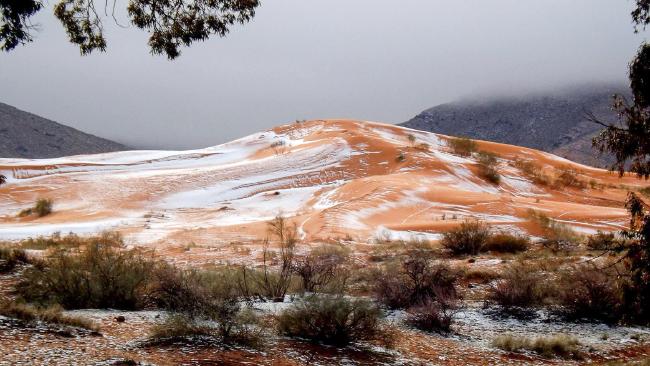 Hồ sơ - Ảnh: Tuyết phủ trắng sa mạc Sahara lần đầu tiên trong 37 năm (Hình 5).