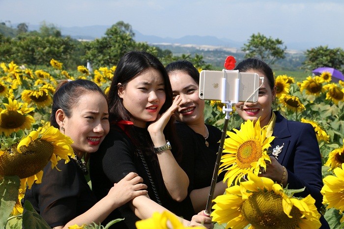 Dân sinh -  Dàn ‘chân dài', hoa khôi đọ sắc cùng hoa hướng dương (Hình 3).