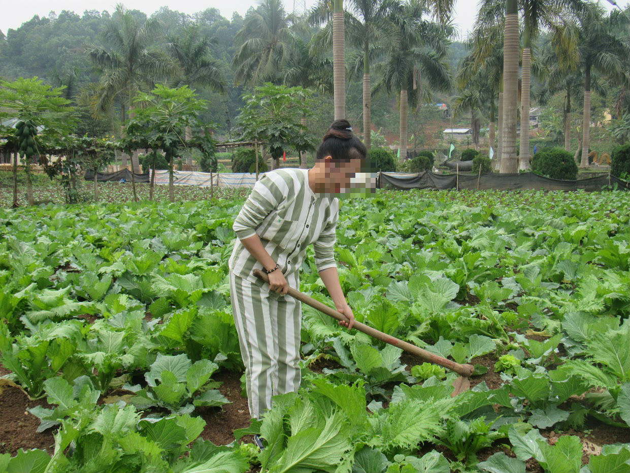 Tâm sự - Khao khát được làm mẹ nên bắt cóc con người khác và cái giá phải trả