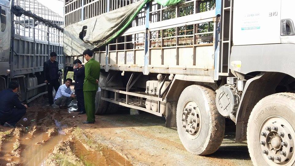 An ninh - Hình sự - Hành trình gần 360 giờ truy bắt lái xe đâm chết người rồi bỏ trốn