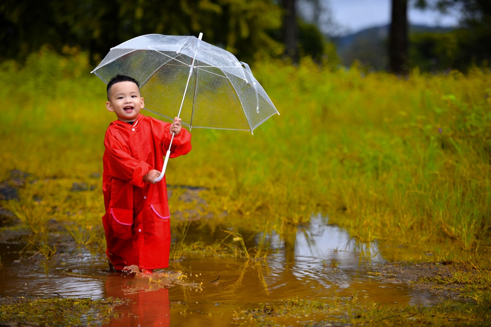 Ngôi sao - Con trai Hoa hậu Diễm Hương ‘đốn tim’ với hình ảnh đáng yêu (Hình 3).